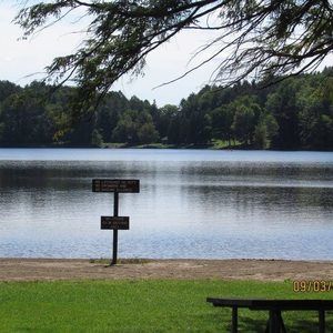 Meet your Posher, Phyllis